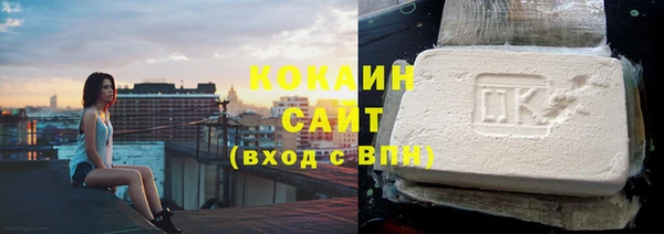 твердый Арсеньев