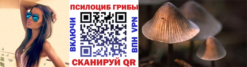 Купить закладки  Ростов  Псилоцибиновые грибы ЛСД 